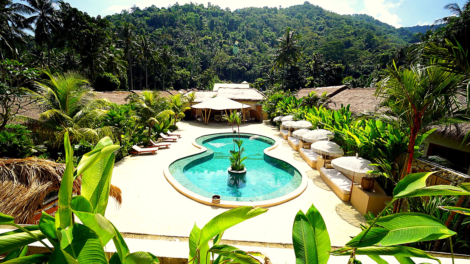Aerial view of the curved pool framed by sun loungers and tropical mountains